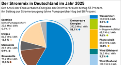 AEE_Strommix_Deutschland_2025_Dez25_72dpi