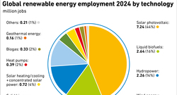 AEE_EE_Global-renewable-energy-employment-2024-by-technology-ENG
