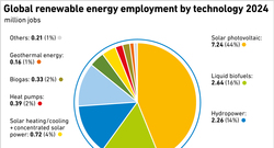 AEE_Global-renewable-energy-employment-2024_1-26