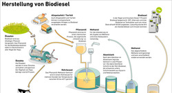 AEE_Herstellung_von_Biodiesel_Aug21_300-dpi_72dpi