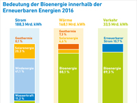 AEE_Bedeutung_Bioenergie_innerhalb_Erneuerbarer2016_Apr17