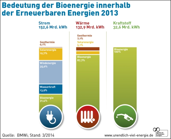 AEE_Bedeutung_der_Bioenergie_innerhalb_der_Erneuerbaren_Energien_2012_feb13_72dpi