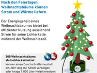 AEE_Weihnachtsbaeume_koennen_Strom_und_Waerme_liefern_jan14_72dpi