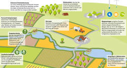 AEE_Energiepflanzen-Agrarlandschaft-Infoboxen_72dpi
