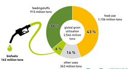 AEE_Getreide_weltweit_Anteil_Biokraftstoff_aug16_engl_72dpi