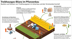THG_Quellen_Senken_Pflanzenbau_Sep22