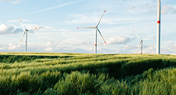 thumbnail_visual-story_beautiful-grassy-field-with-windmills-distance-blue-sky_