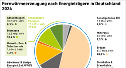 AEE_EE-Anteil-Fernwärme_2024_jun25