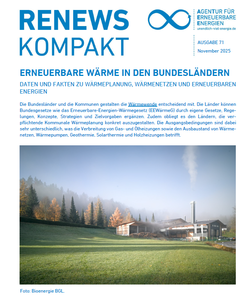 AEE_RenewsKompakt_Erneuerbare Waerme_nov25_cover